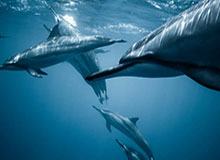 开云体育网站——打造你的全方位体育娱乐体验