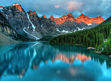 历史数据-九游娱乐空间：让游戏与生活无缝连接的理想场域